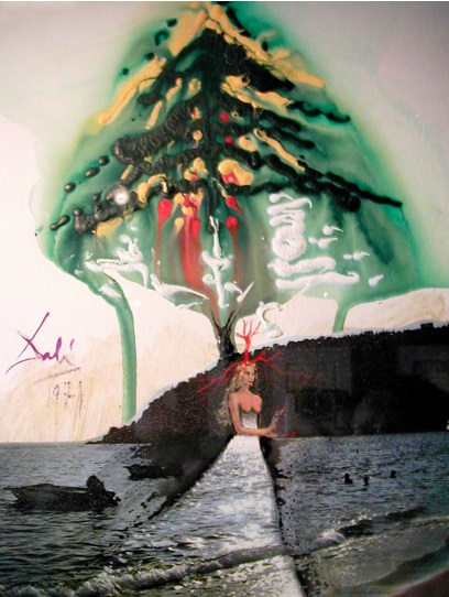 Navidad, Dali, 1971
