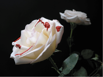 "La mancha de la maternidad"