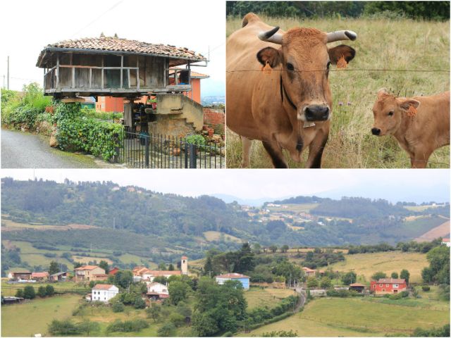 Beautiful Asturian countryside