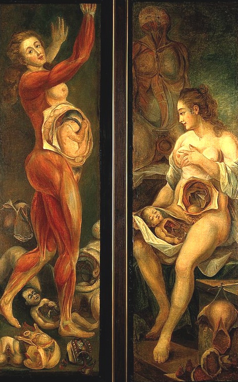 Anatomical figure_Jacques-Fabien Gautier DAgoty_1765_Wellcome