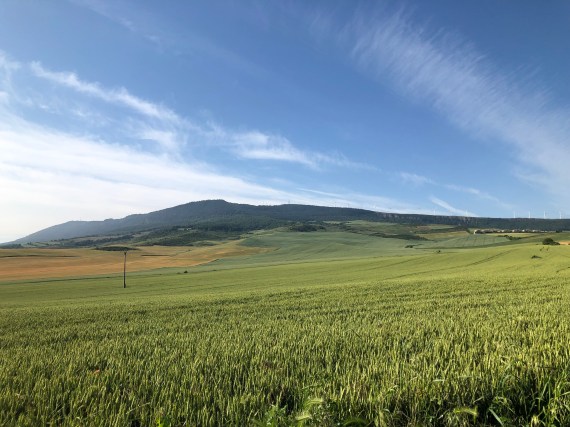 k1o327JHSGe1swrf1FBBrg