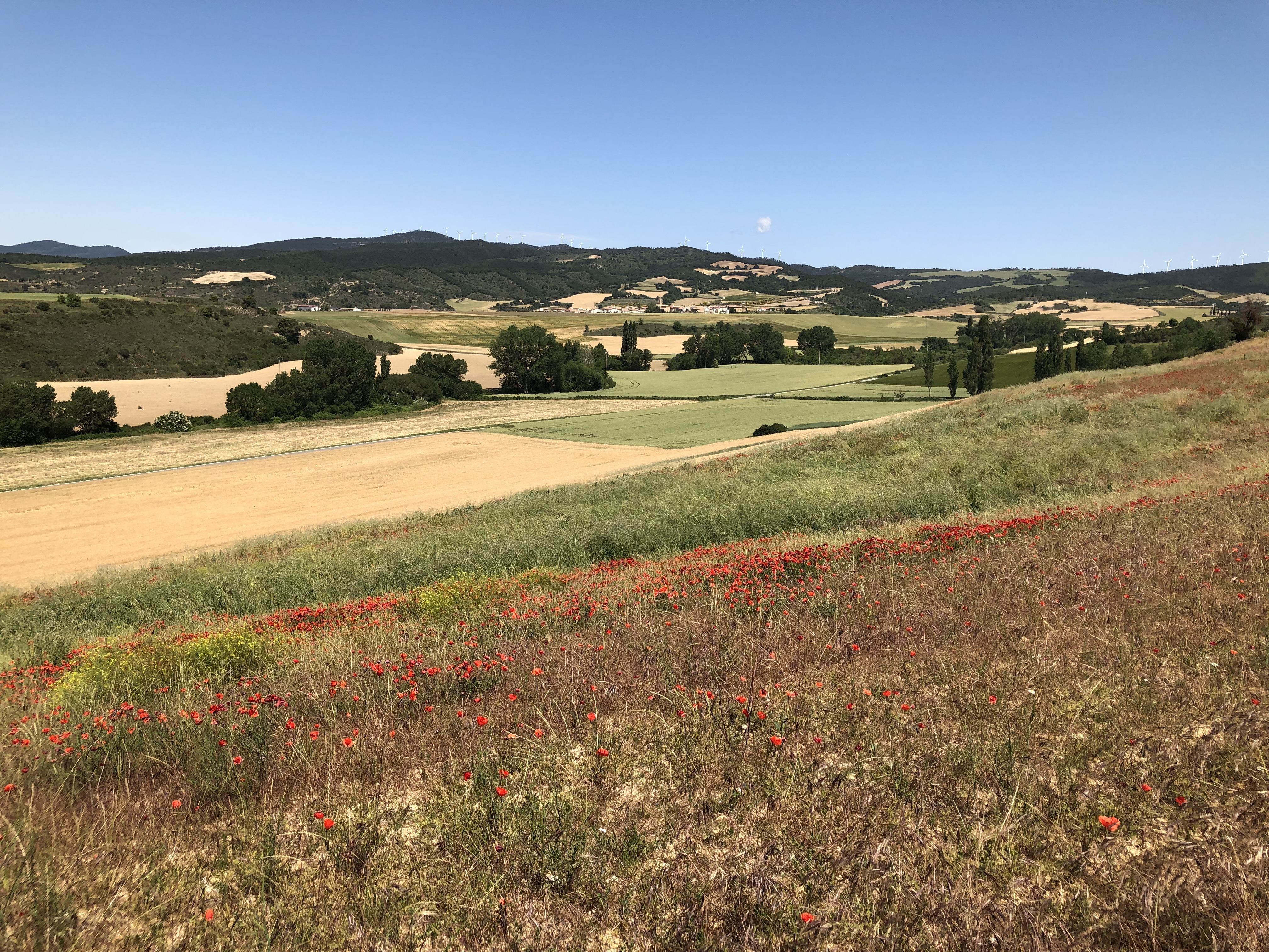 xzo5wsNMTaeXN1Iwv0MhYw