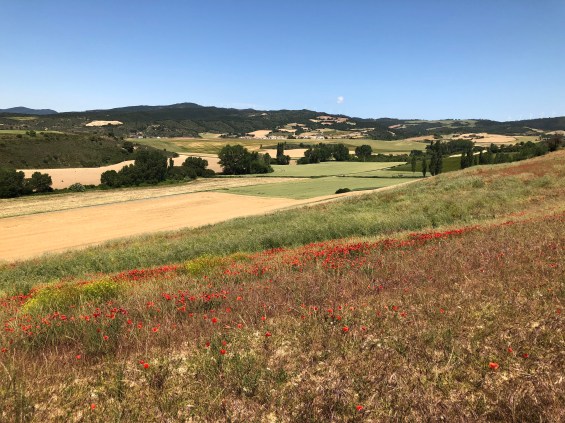 xzo5wsNMTaeXN1Iwv0MhYw